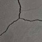 geopiz gris