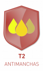 T2